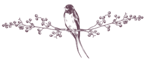bird-divider