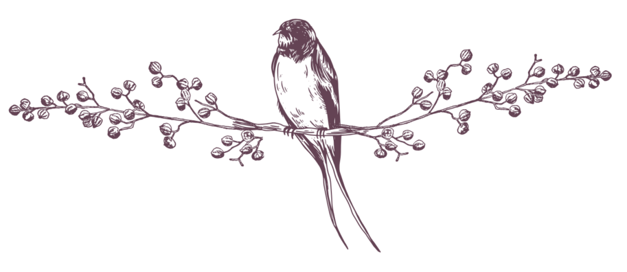 bird-divider